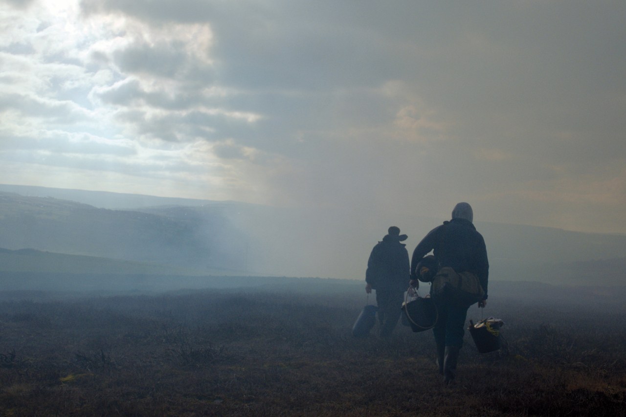 God's Own Country - Bild 2