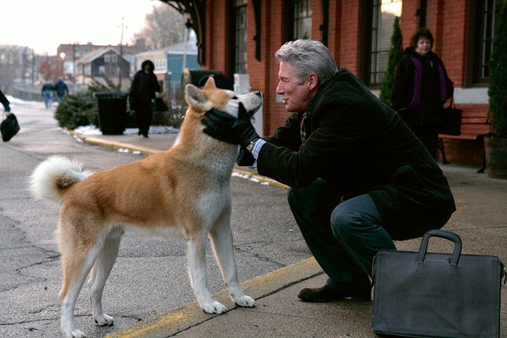 Hachiko - Eine wunderbare Freundschaft - Bild 1