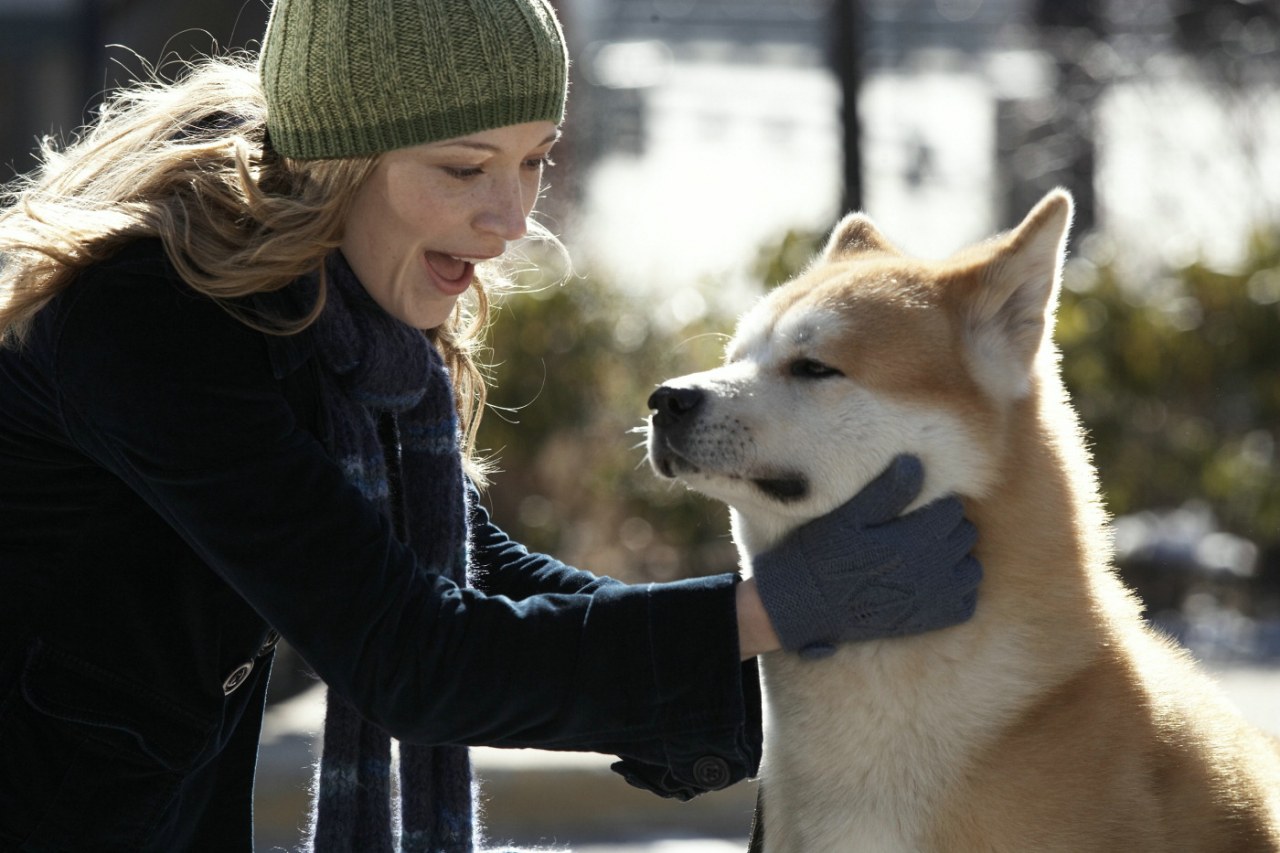 Hachiko - Eine wunderbare Freundschaft - Bild 4