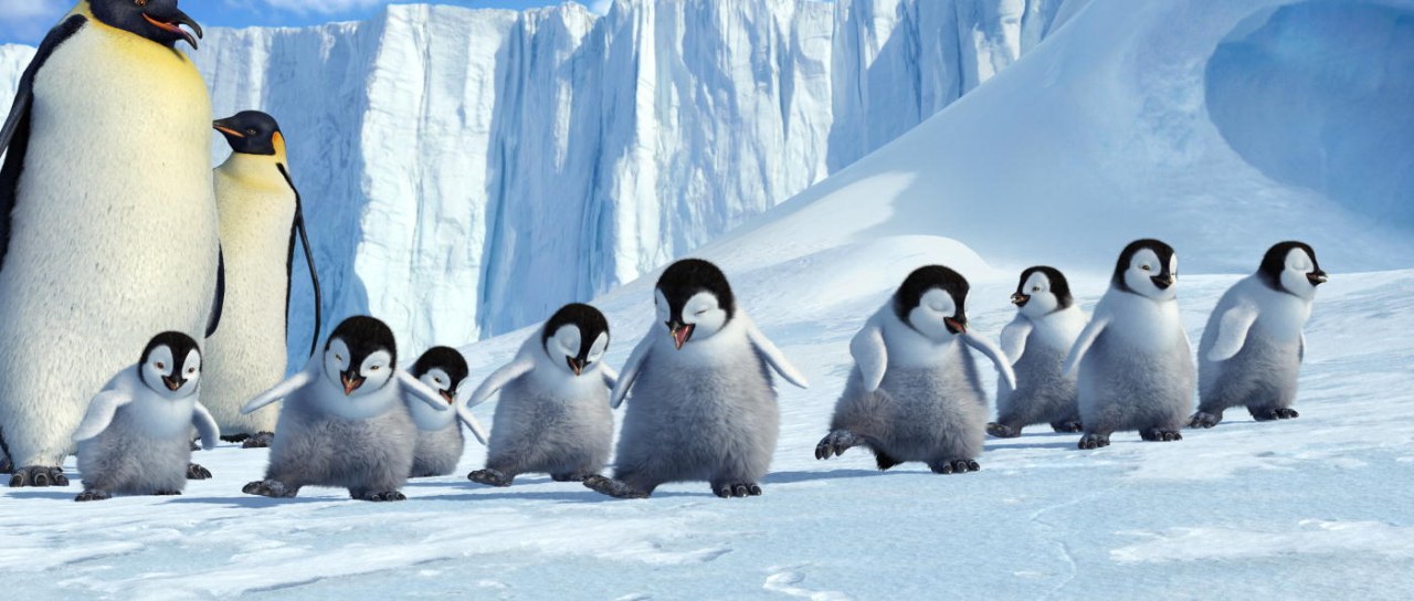 Happy Feet - Bild 2