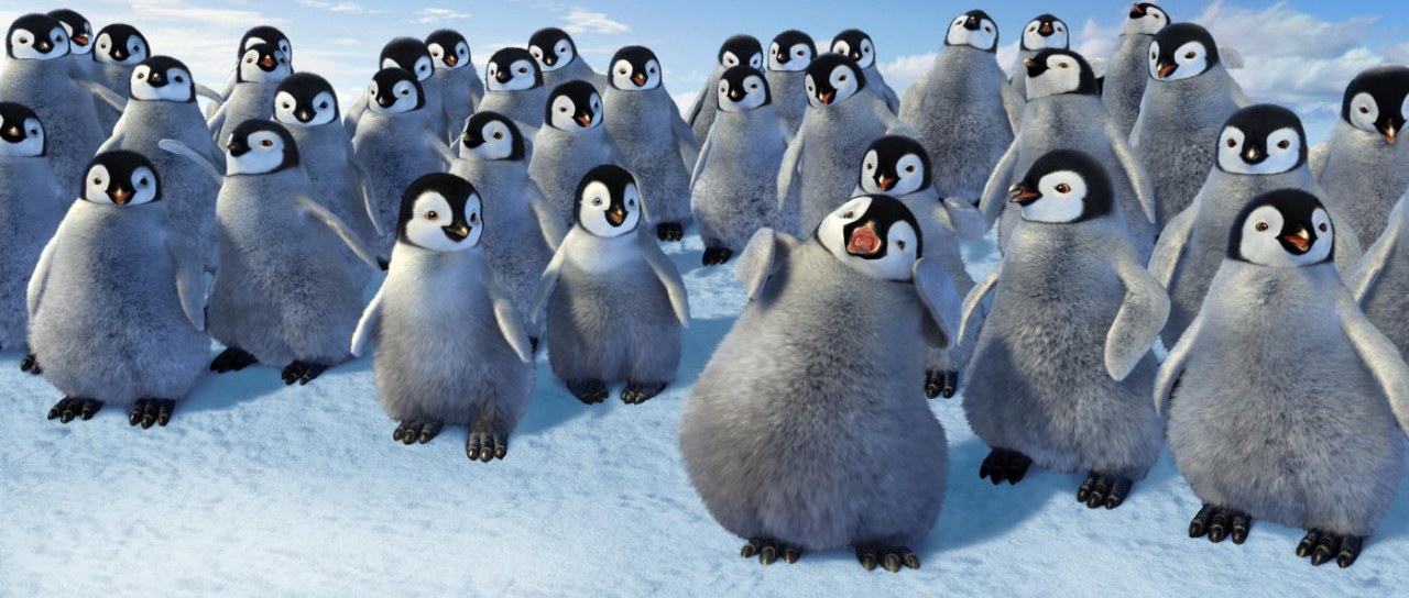 Happy Feet - Bild 10