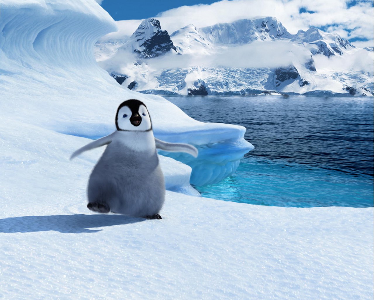 Happy Feet - Bild 14