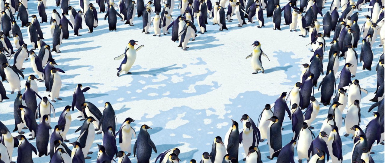 Happy Feet - Bild 16