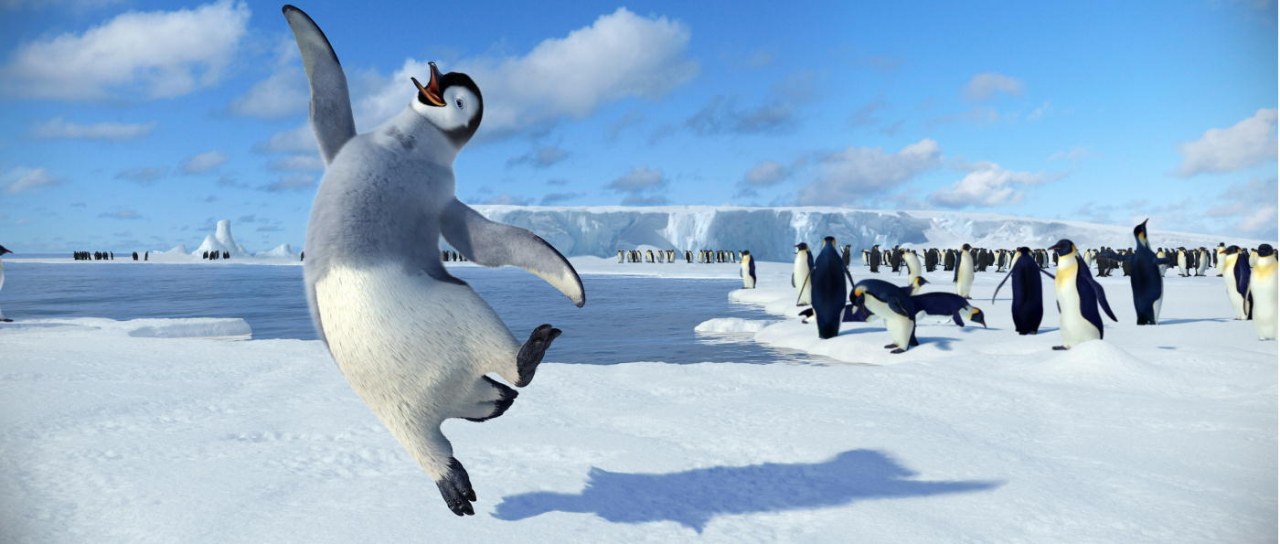 Happy Feet - Bild 19