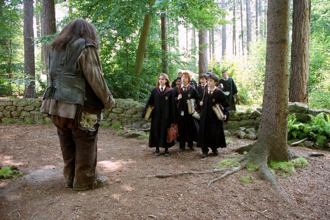 Harry Potter und der Gefangene von Askaban - Bild 41