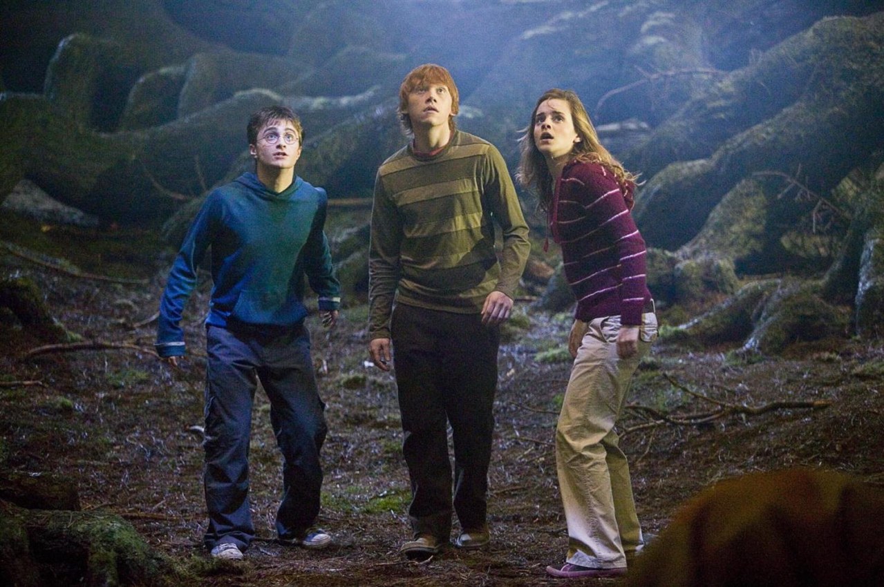 Harry Potter und der Orden des Phönix - Bild 12