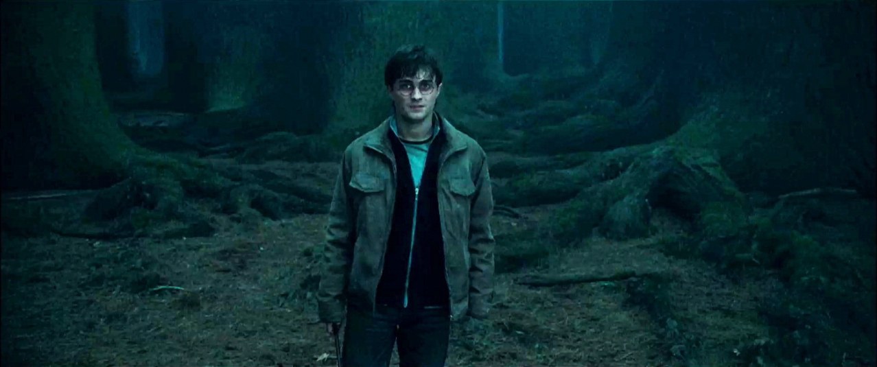 Harry Potter und die Heiligtümer des Todes - Teil 1 - Bild 2