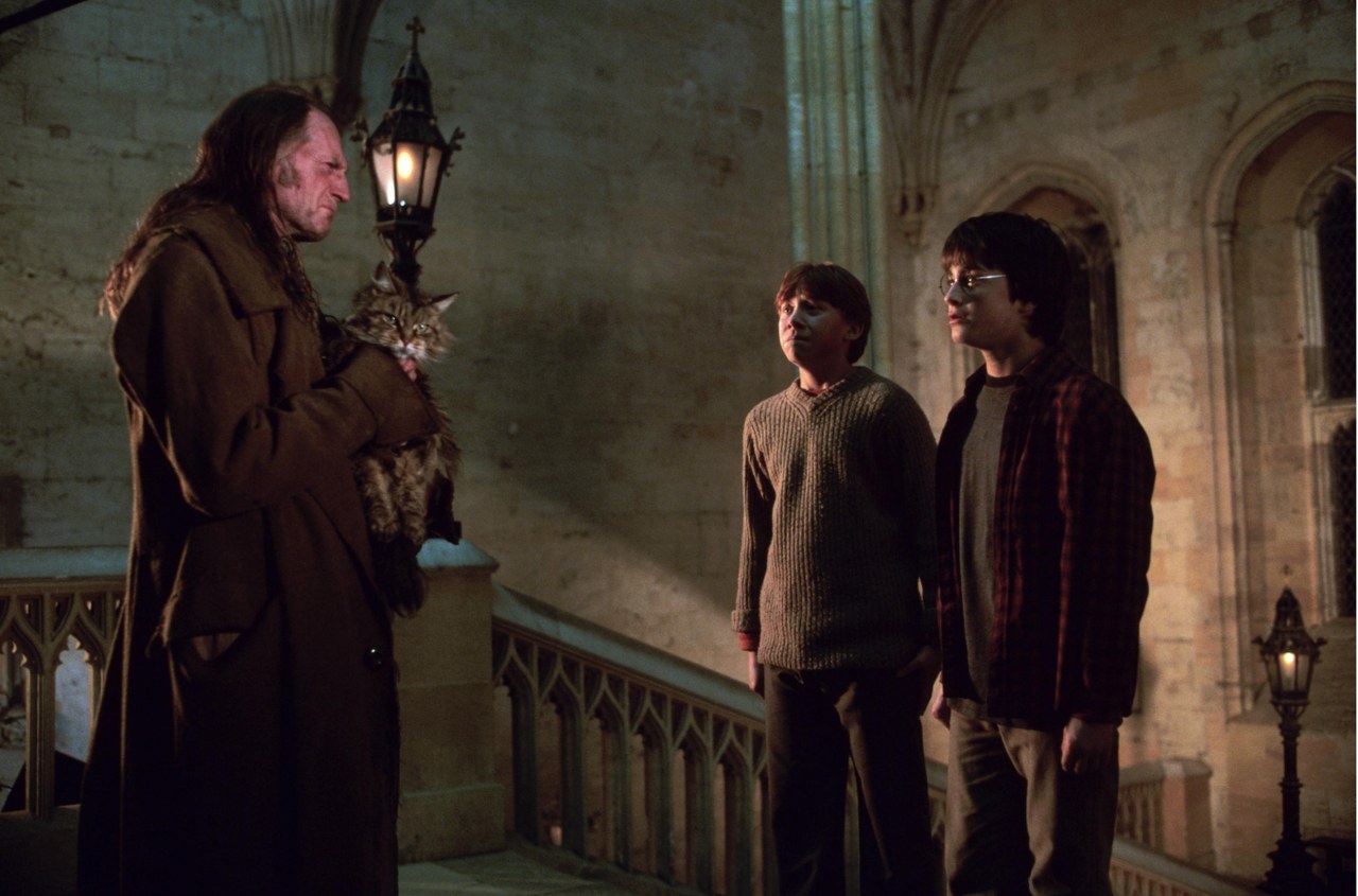 Harry Potter und die Kammer des Schreckens - Bild 7