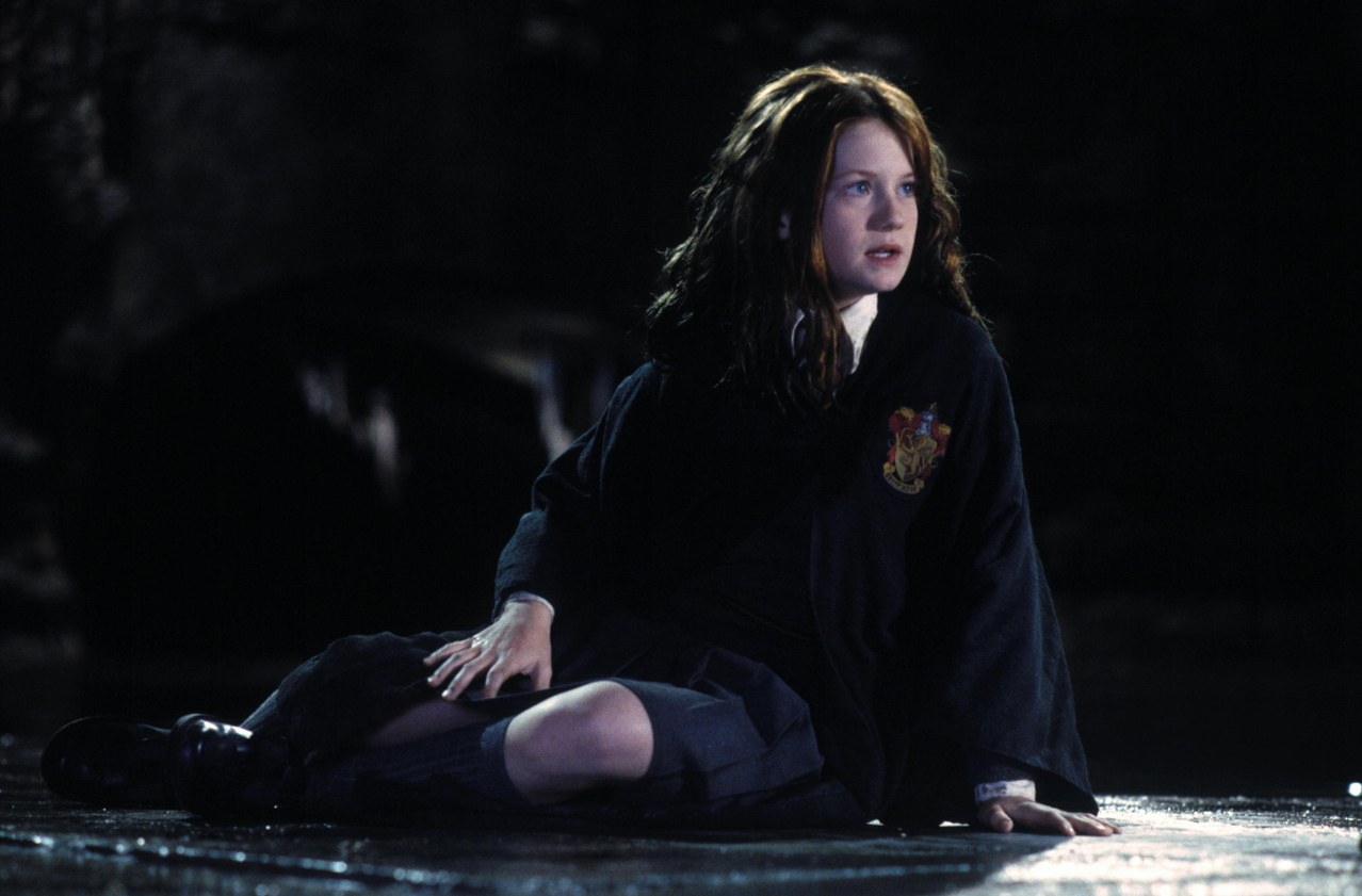 Harry Potter und die Kammer des Schreckens - Bild 9