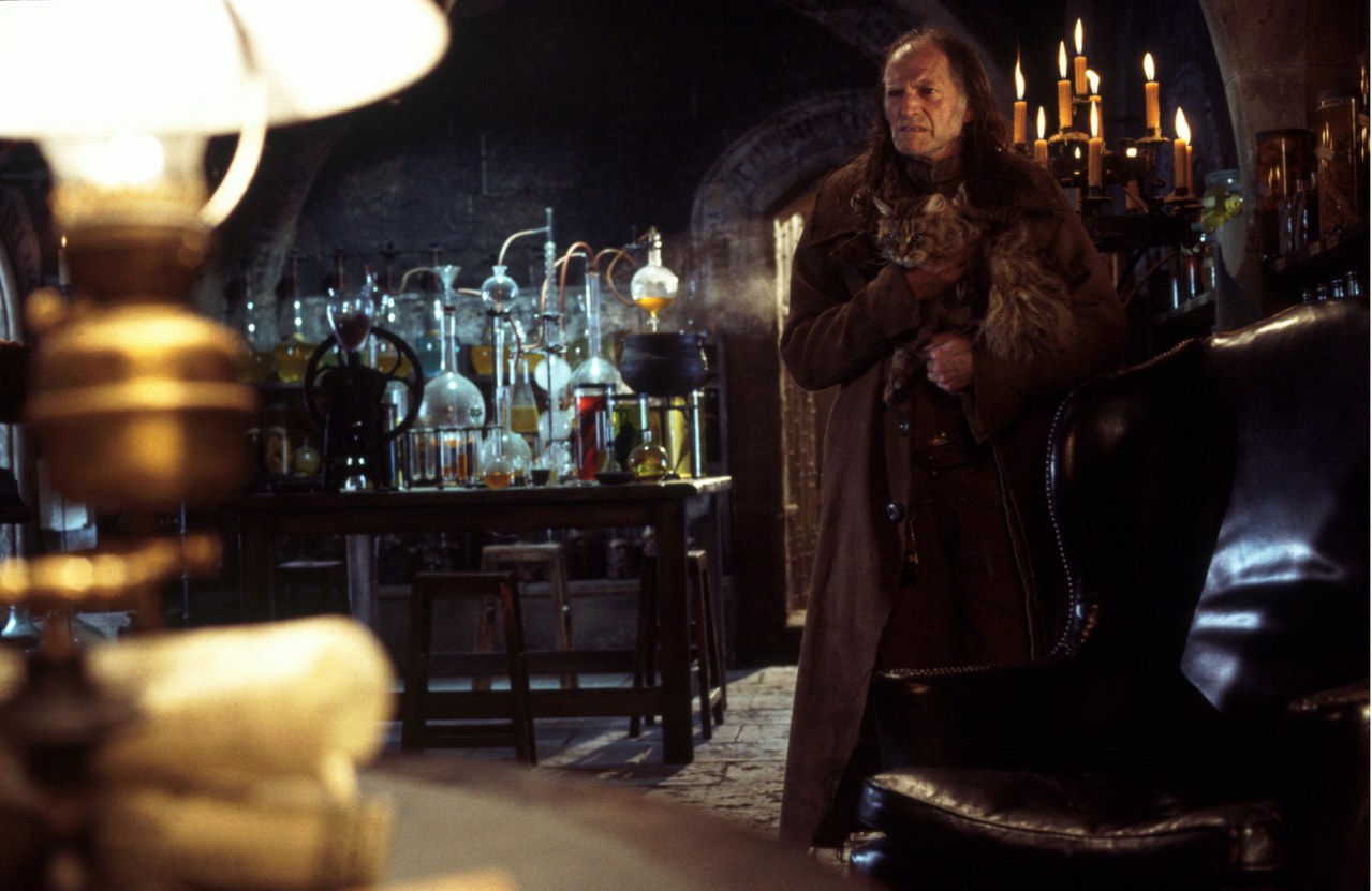 Harry Potter und die Kammer des Schreckens - Bild 16