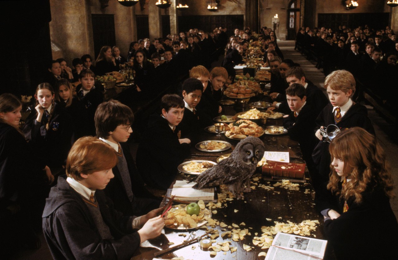 Harry Potter und die Kammer des Schreckens - Bild 18