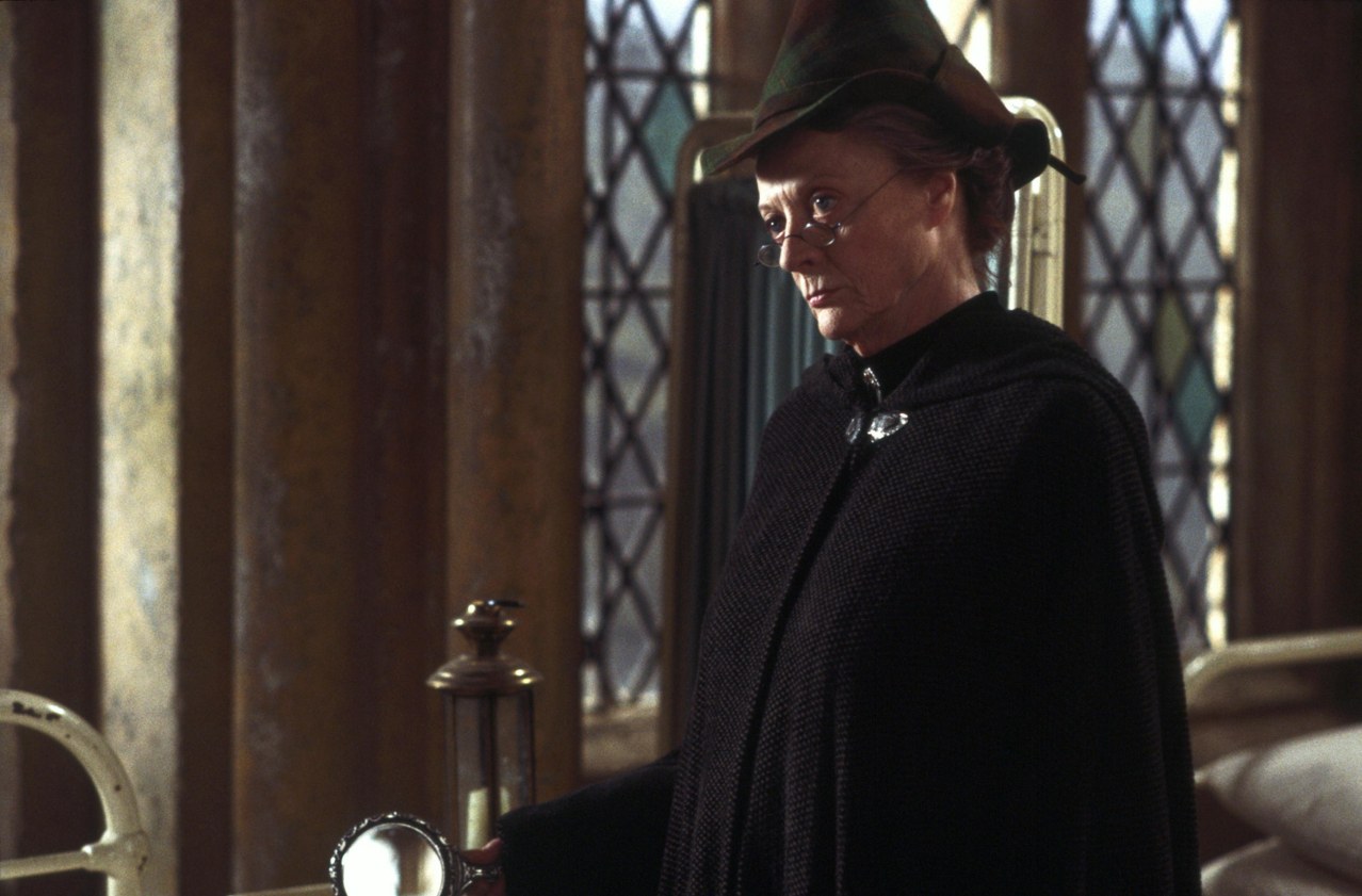 Harry Potter und die Kammer des Schreckens - Bild 19