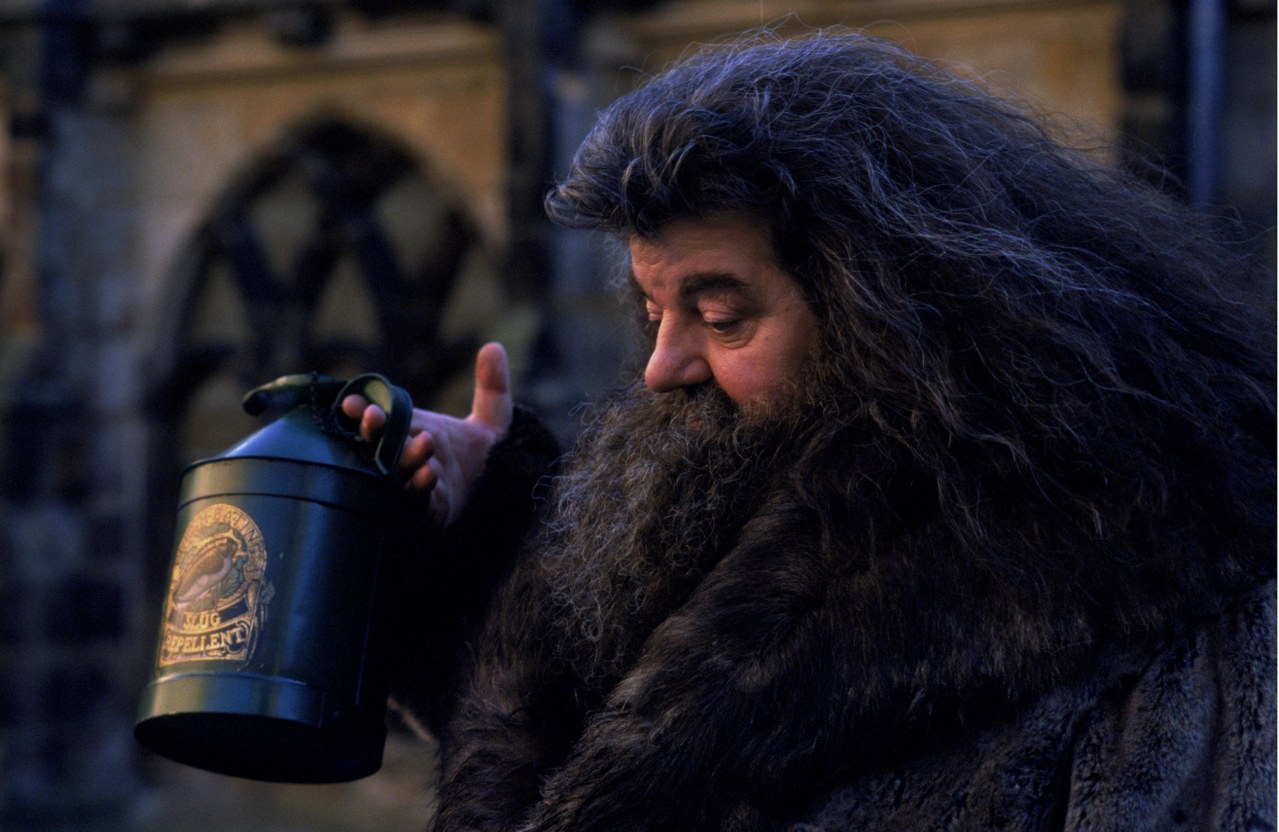 Harry Potter und die Kammer des Schreckens - Bild 29