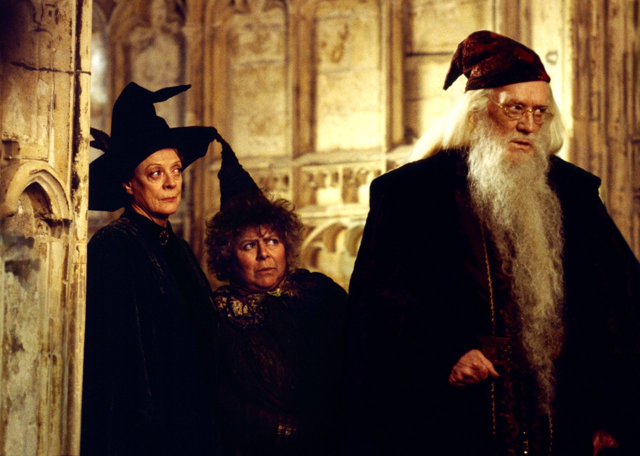 Harry Potter und die Kammer des Schreckens - Bild 40