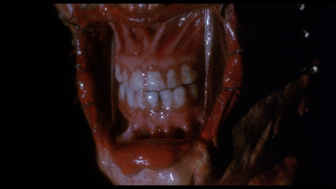 Hellraiser - Das Tor zur Hölle - Bild 13