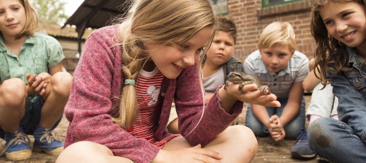 Hilfe, unser Lehrer ist ein Frosch - Bild 1