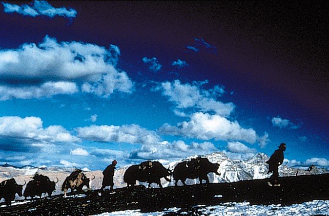Himalaya - Die Kindheit eines Karawanenführers - Bild 1