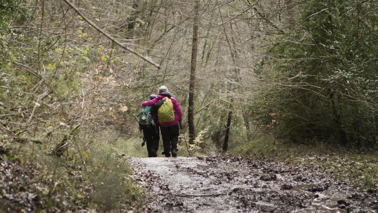 Himmel über dem Camino - Der Jakobsweg ist Leben! - Bild 5