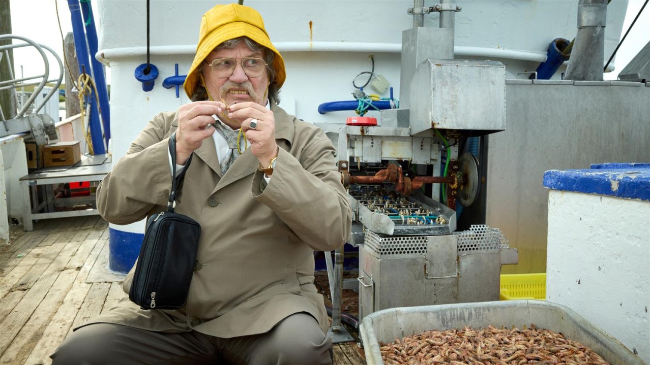 "Horst Schlämmer sucht das Glück" - Kinotour mit Horst Schlämmer - Bild 1