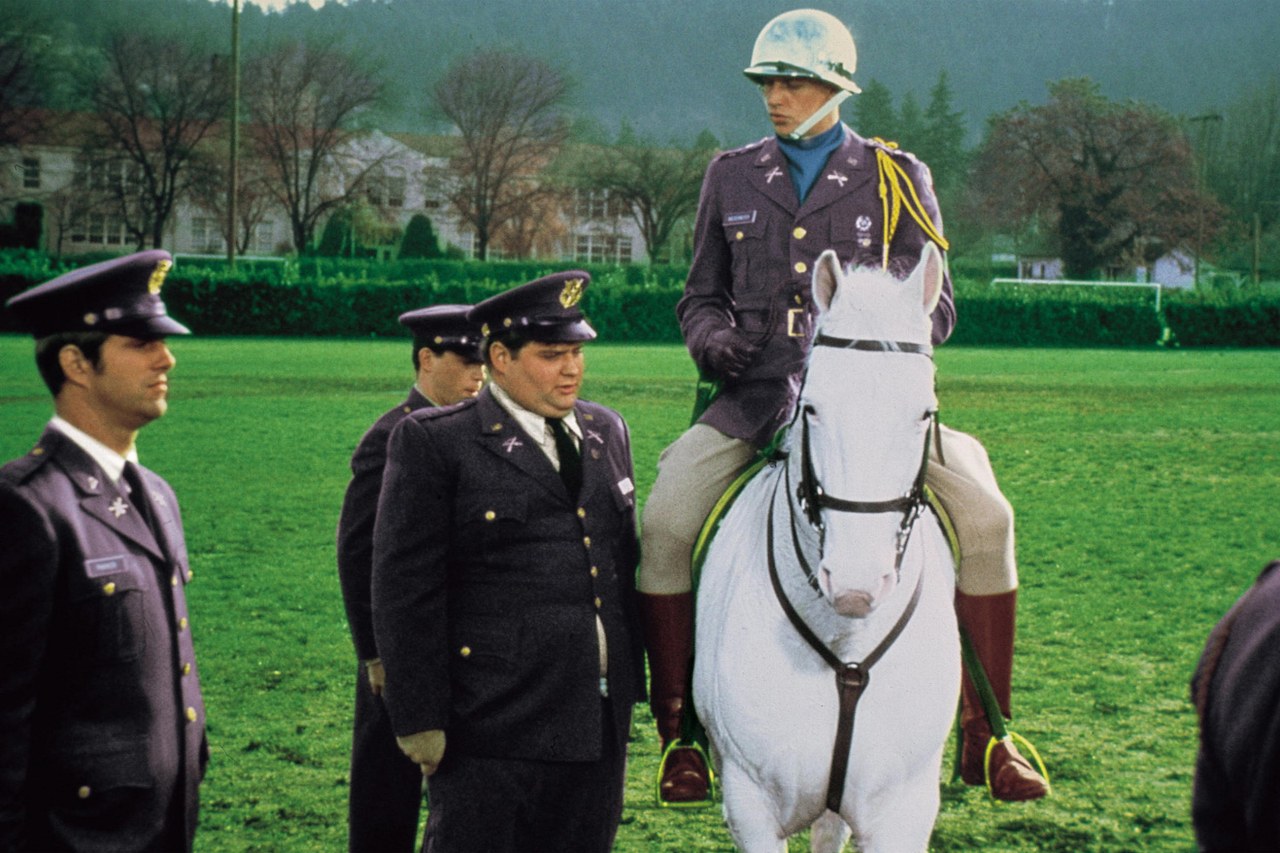 Ich glaub, mich tritt ein Pferd - Bild 4