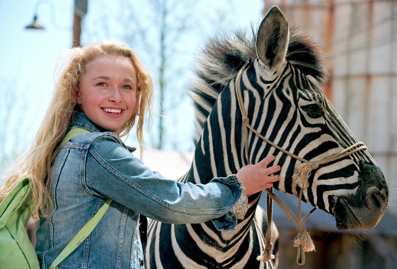 Im Rennstall ist das Zebra los! - Bild 16