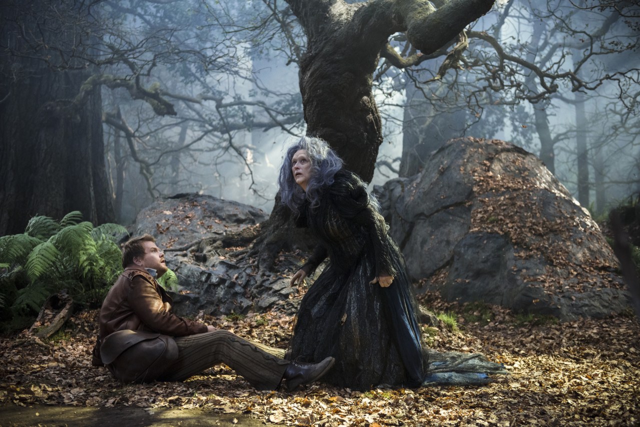 Into the Woods - Bild 1