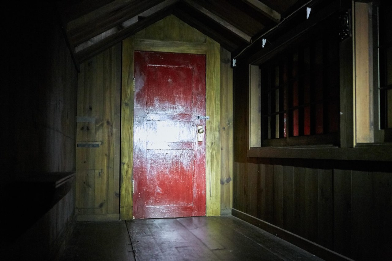 It Comes at Night - Bild 3