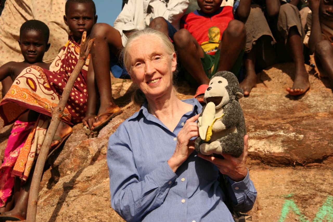 Jane's Journey - Die Lebensreise der Jane Goodall - Bild 15