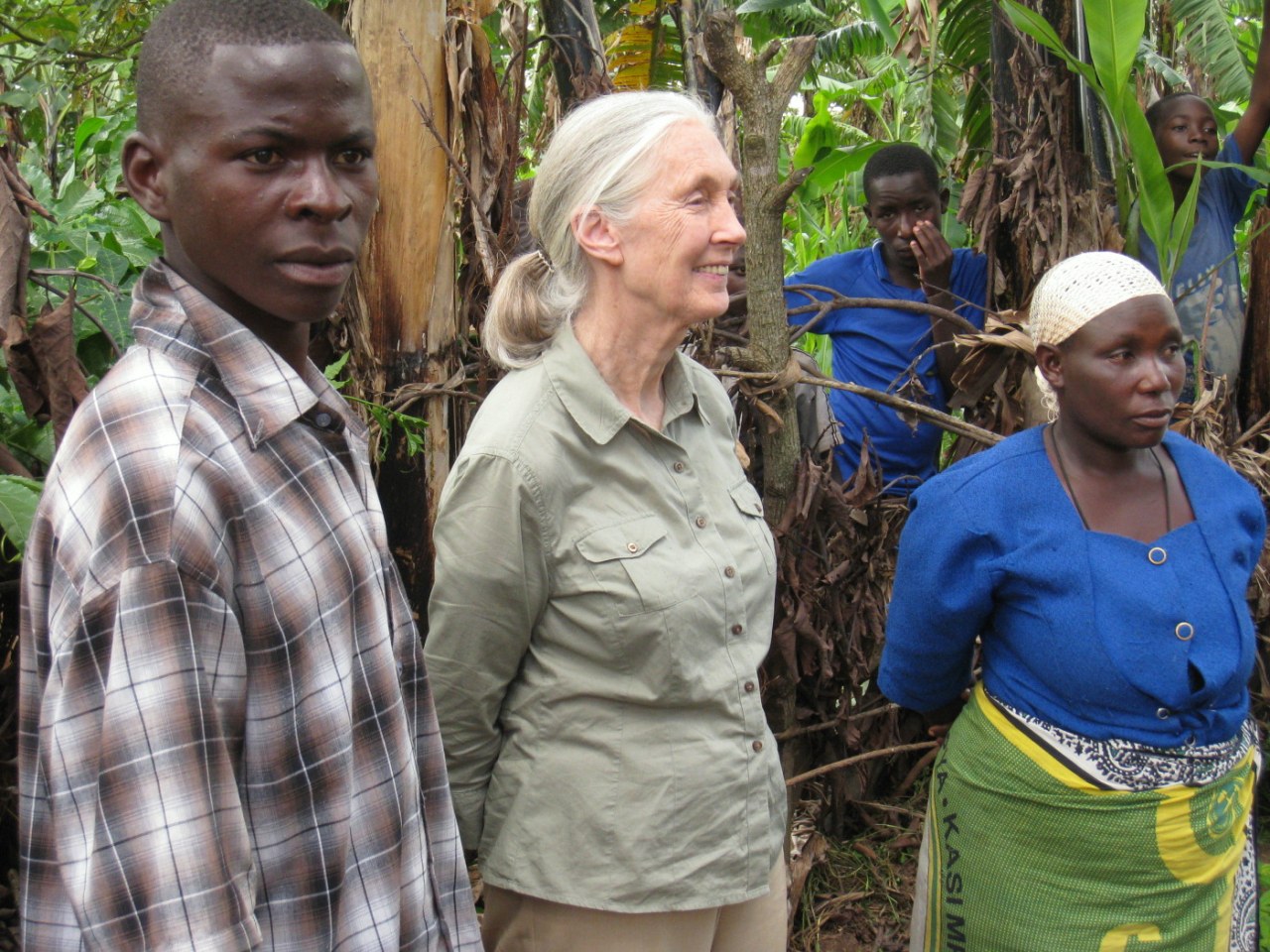 Jane's Journey - Die Lebensreise der Jane Goodall - Bild 16
