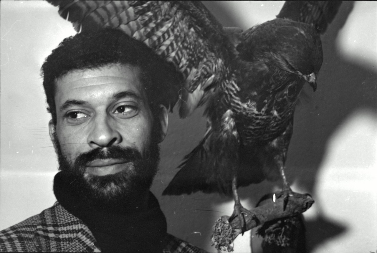 Jannat 'Ali - Bild 4