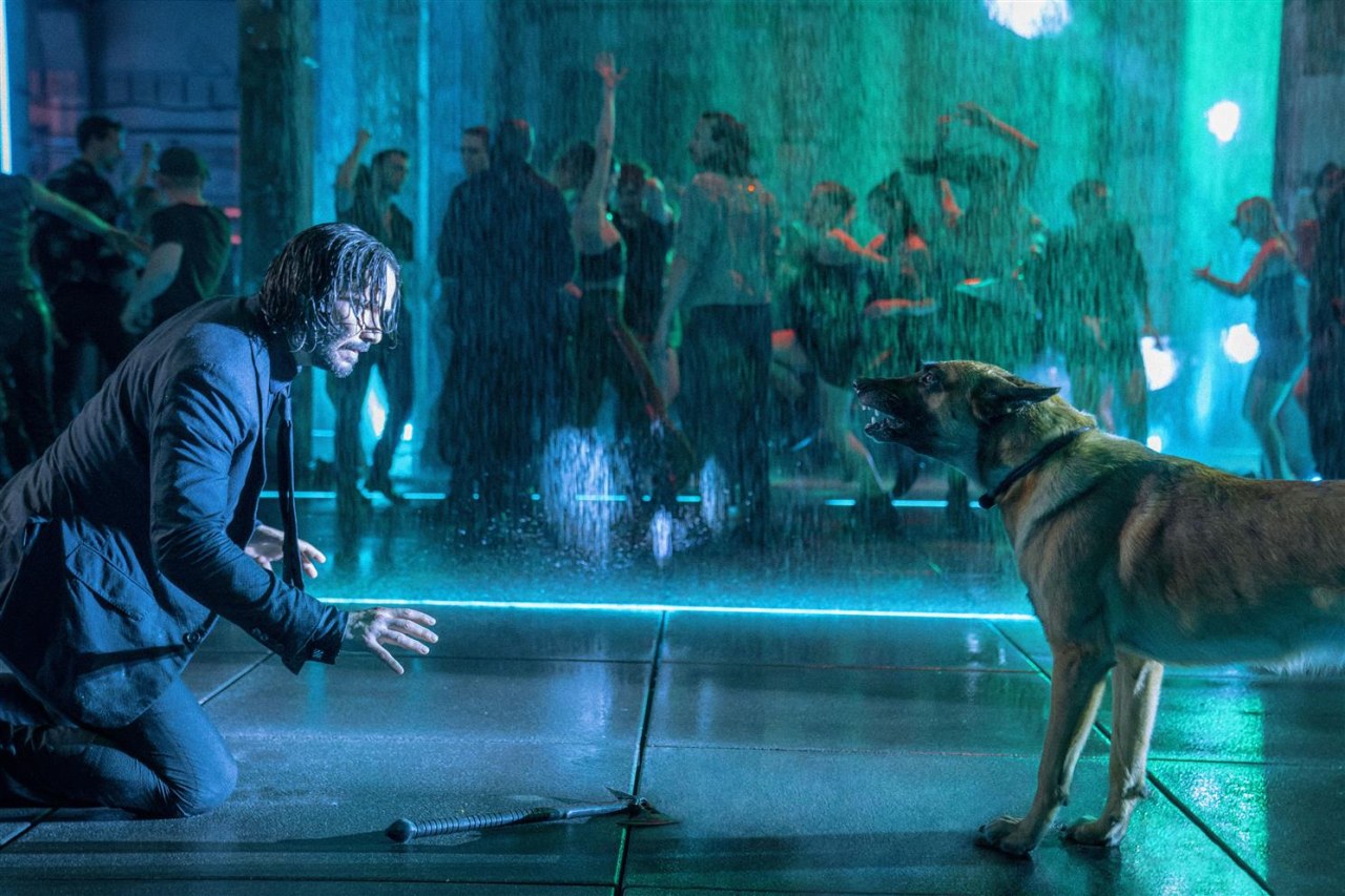 John Wick: Kapitel 4 - Bild 14