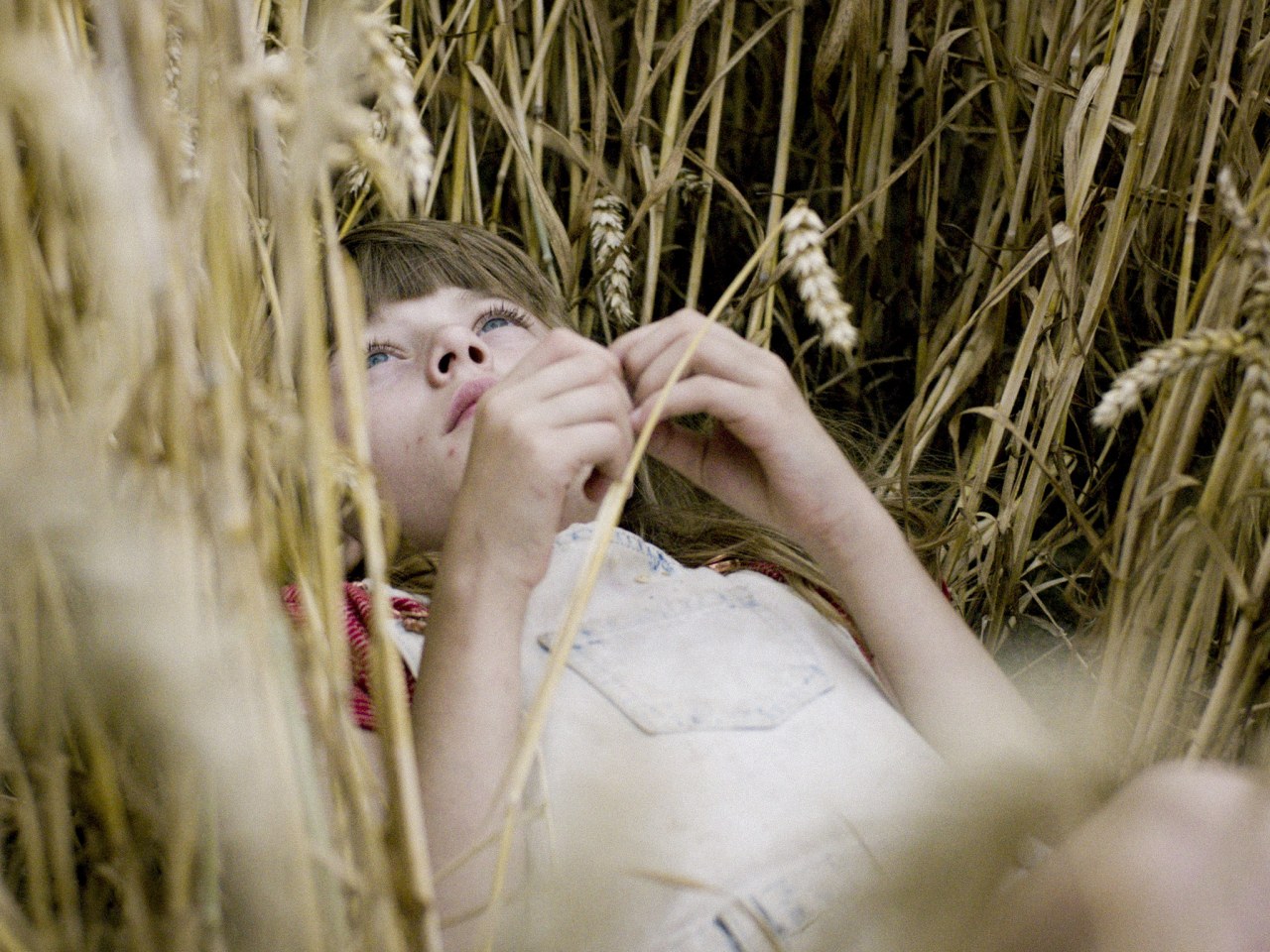 Königin von Niendorf - Bild 1