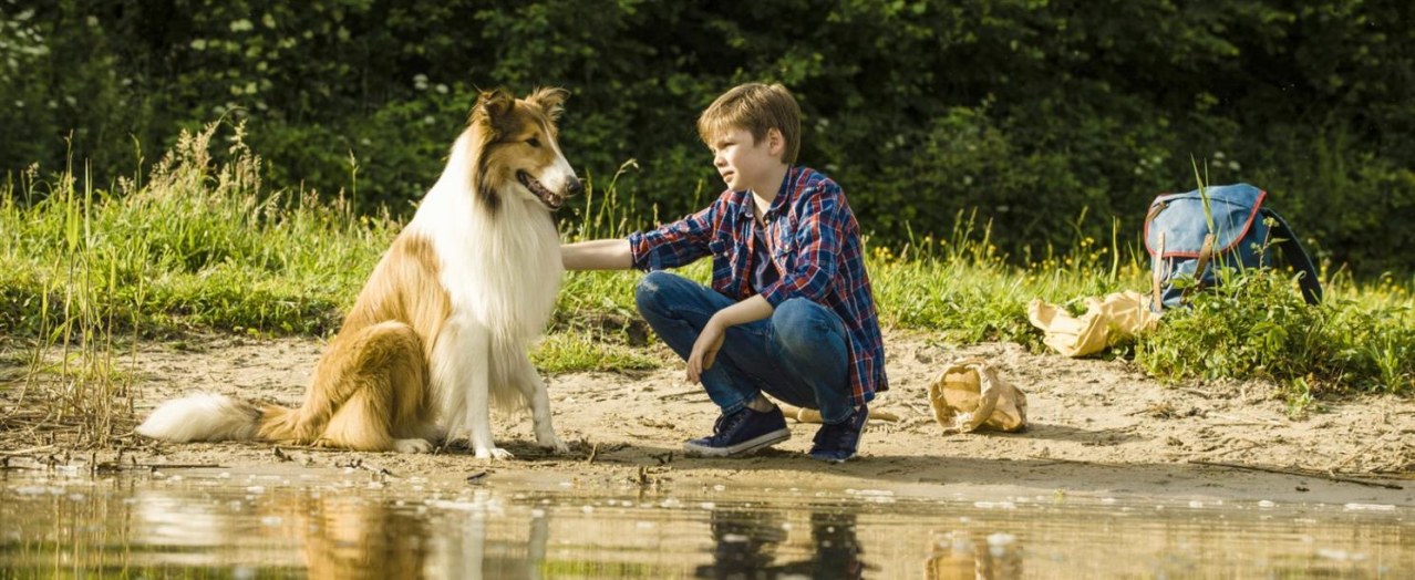 Lassie - Eine abenteuerliche Reise - Bild 4