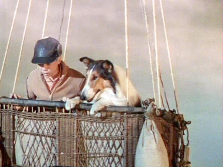 Lassie's Great Adventure - Bild 1