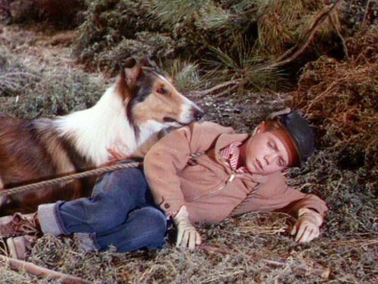Lassie's Great Adventure - Bild 2