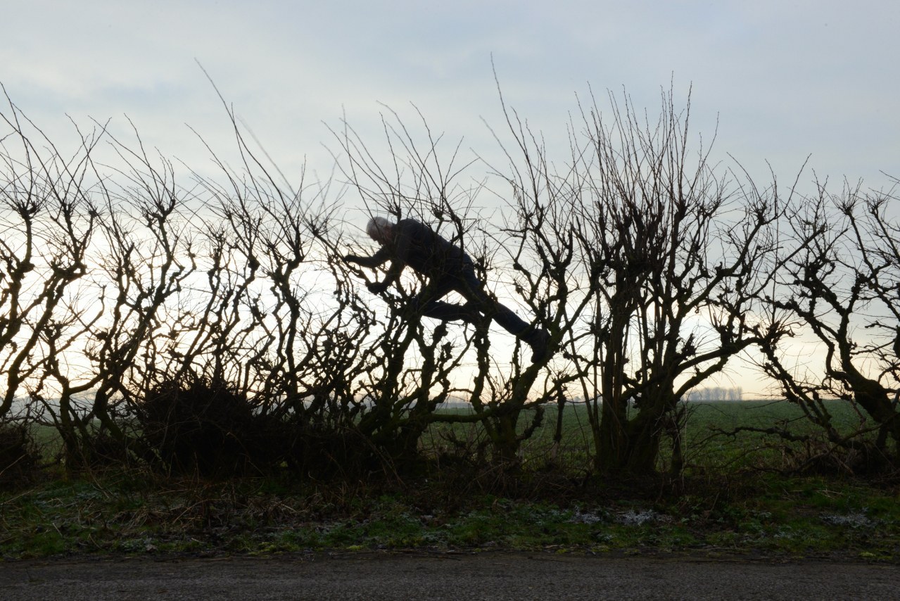 Leaning Into the Wind - Andy Goldsworthy - Bild 2