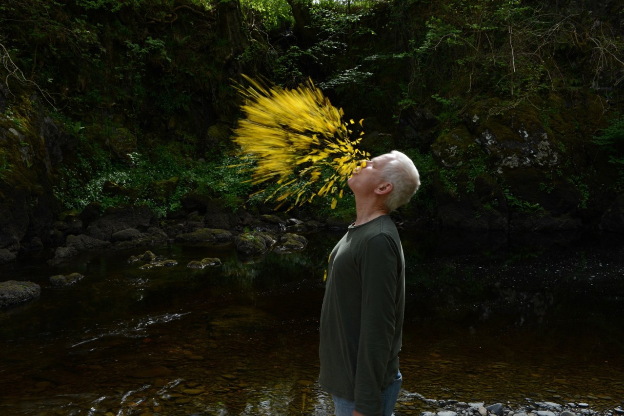 Leaning Into the Wind - Andy Goldsworthy - Bild 5