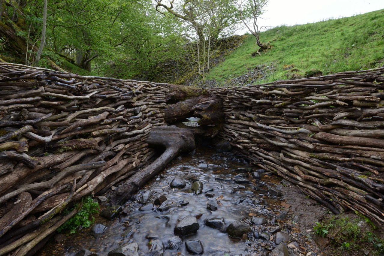 Leaning Into the Wind - Andy Goldsworthy - Bild 6