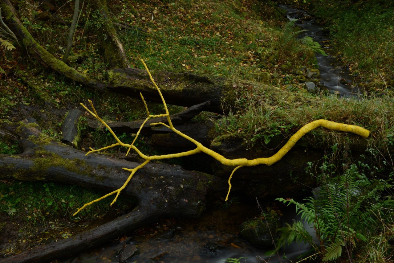 Leaning Into the Wind - Andy Goldsworthy - Bild 7