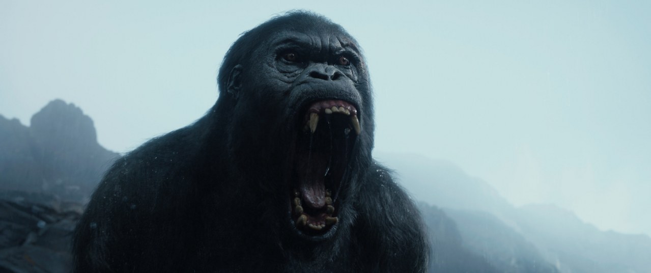 Legend of Tarzan - Bild 7