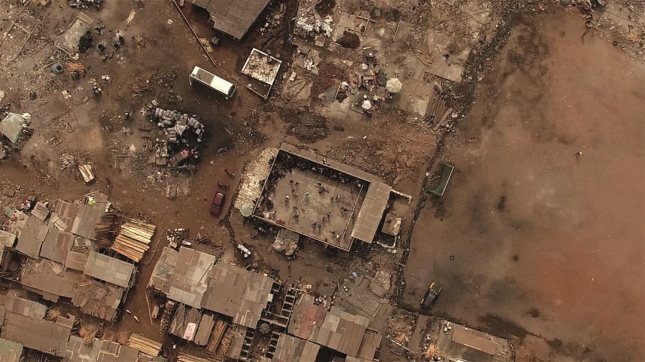 Lionhearted - Aus der Deckung - Bild 1