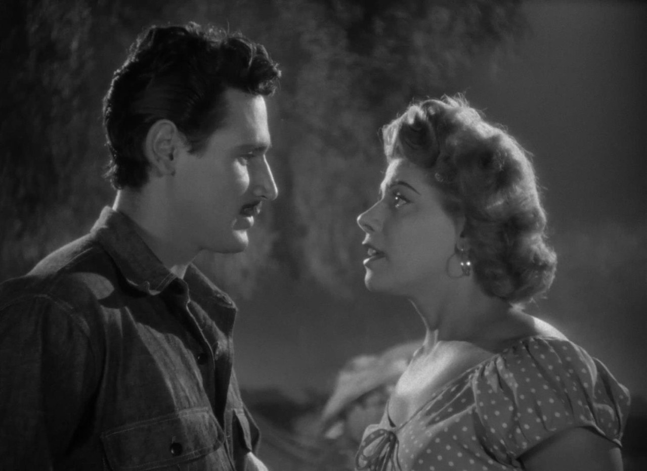 Llévame en tus brazos - Schließe mich in deine Arme (Zeitlos) - Bild 1