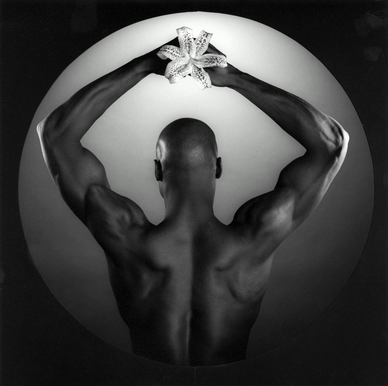 Mapplethorpe: Look at the Pictures - Bild 1