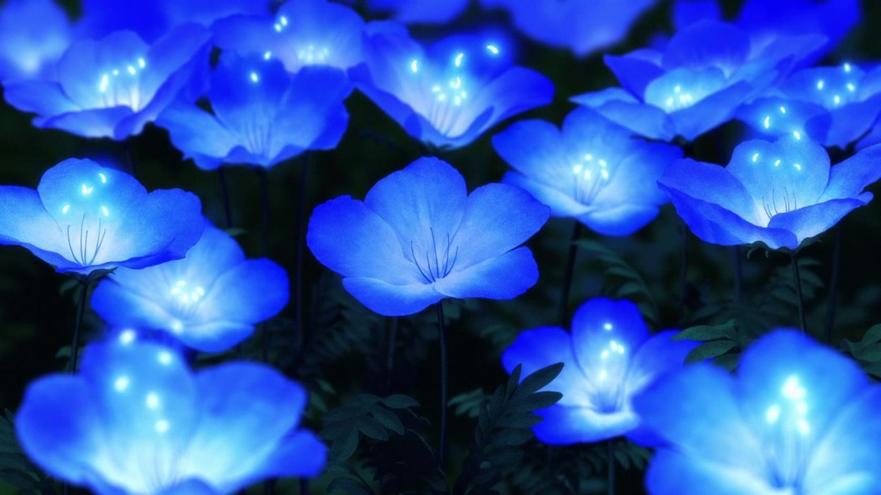 Maquia: Eine unsterbliche Liebesgeschichte - Bild 3