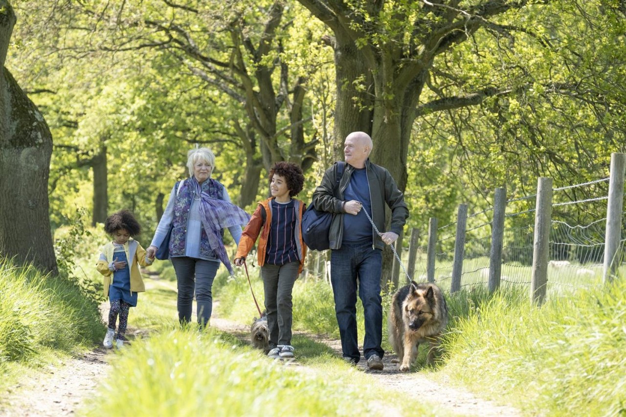 Mit Herz und Hund - Bild 2