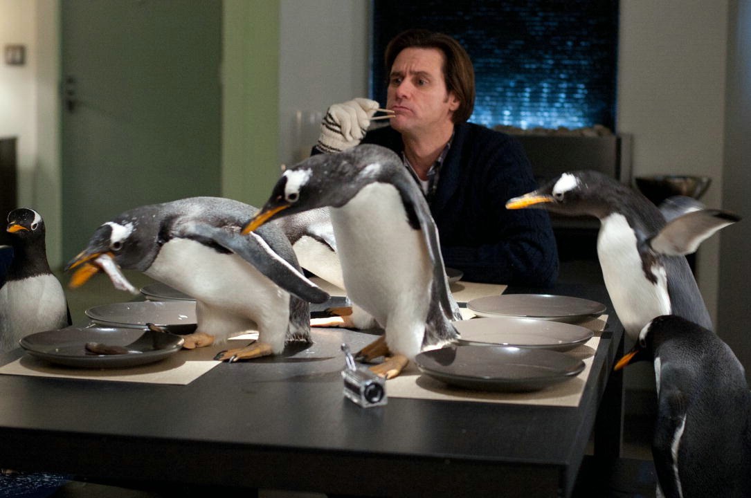 Mr. Poppers Pinguine - Bild 2