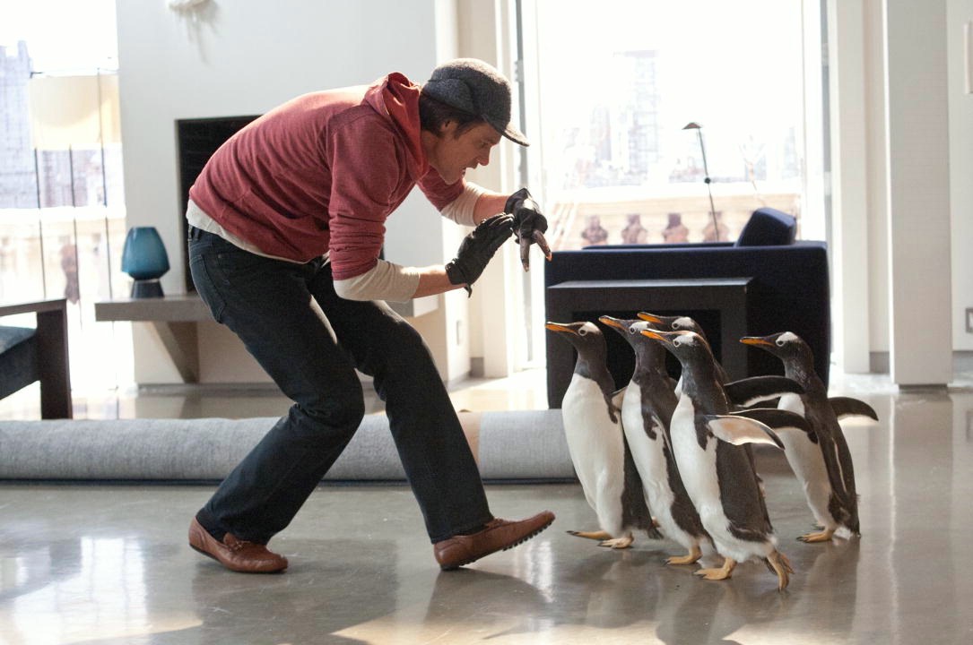 Mr. Poppers Pinguine - Bild 3