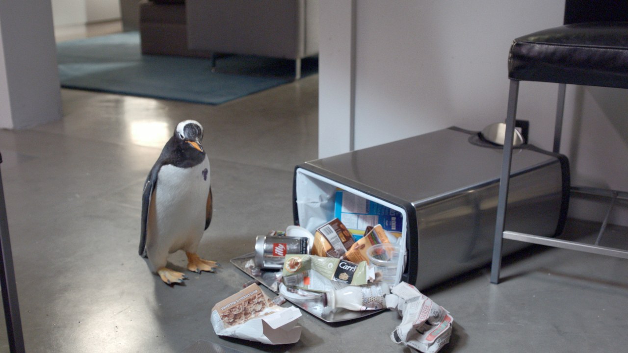 Mr. Poppers Pinguine - Bild 5