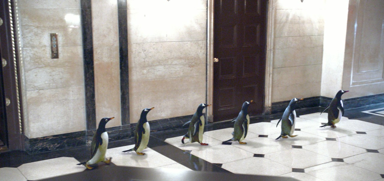 Mr. Poppers Pinguine - Bild 9