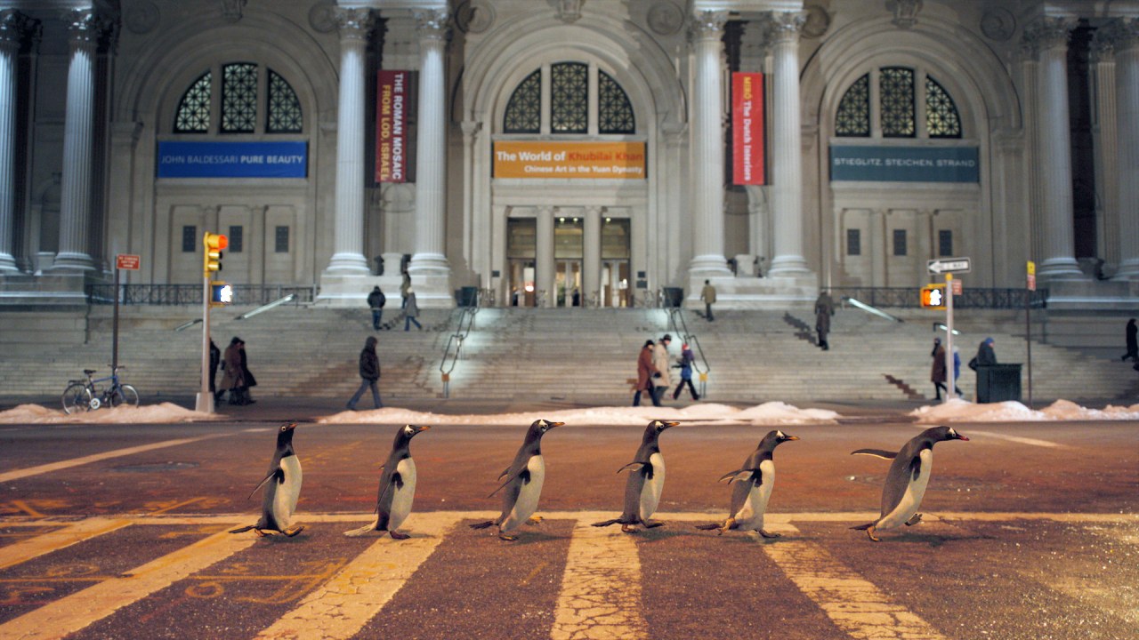 Mr. Poppers Pinguine - Bild 10